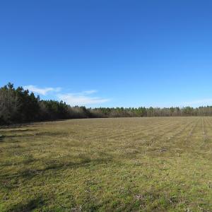 Photo of SOLD!  50 Acres of Farm and Timber Land For Sale in Cumberland County NC!