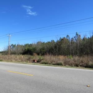 Photo of SOLD!  50 Acres of Farm and Timber Land For Sale in Cumberland County NC!