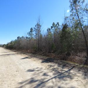 Photo of SOLD!  50 Acres of Farm and Timber Land For Sale in Cumberland County NC!