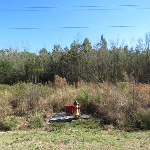 Photo of SOLD!  50 Acres of Farm and Timber Land For Sale in Cumberland County NC!