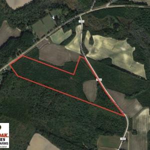 Photo of SOLD!  50 Acres of Farm and Timber Land For Sale in Cumberland County NC!