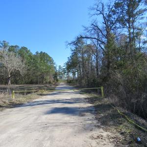Photo of UNDER CONTRACT!  1383 Acres of Timber and Farm Land For Sale in Robeson County NC!