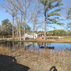Photo of UNDER CONTRACT!  1383 Acres of Timber and Farm Land For Sale in Robeson County NC!