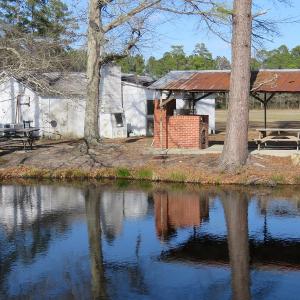 Photo of UNDER CONTRACT!  1383 Acres of Timber and Farm Land For Sale in Robeson County NC!