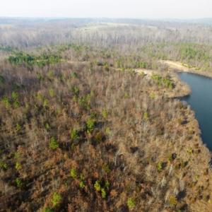 Photo of UNDER CONTRACT!  96 Acres of Recreational Land For Sale in Nottoway County VA!