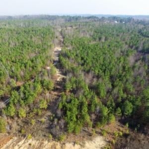 Photo of UNDER CONTRACT!  96 Acres of Recreational Land For Sale in Nottoway County VA!
