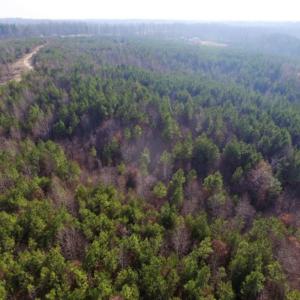 Photo of UNDER CONTRACT!  96 Acres of Recreational Land For Sale in Nottoway County VA!