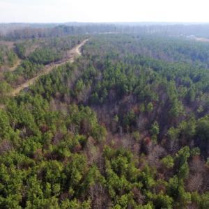 Photo of UNDER CONTRACT!  96 Acres of Recreational Land For Sale in Nottoway County VA!