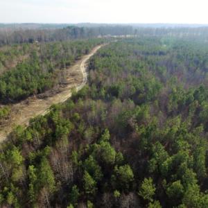 Photo of UNDER CONTRACT!  96 Acres of Recreational Land For Sale in Nottoway County VA!