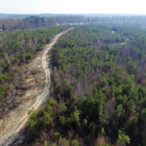 Photo of UNDER CONTRACT!  96 Acres of Recreational Land For Sale in Nottoway County VA!