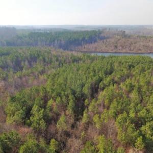 Photo of UNDER CONTRACT!  96 Acres of Recreational Land For Sale in Nottoway County VA!