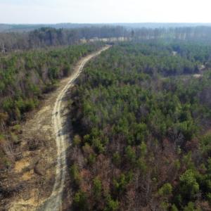 Photo of UNDER CONTRACT!  96 Acres of Recreational Land For Sale in Nottoway County VA!