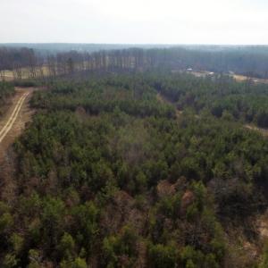 Photo of UNDER CONTRACT!  96 Acres of Recreational Land For Sale in Nottoway County VA!