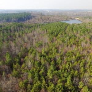 Photo of UNDER CONTRACT!  96 Acres of Recreational Land For Sale in Nottoway County VA!