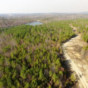 Photo of UNDER CONTRACT!  96 Acres of Recreational Land For Sale in Nottoway County VA!