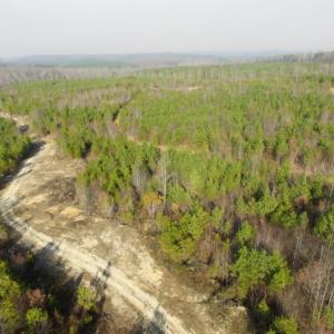 Photo of UNDER CONTRACT!  96 Acres of Recreational Land For Sale in Nottoway County VA!