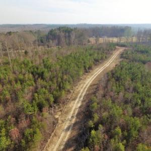 Photo of UNDER CONTRACT!  96 Acres of Recreational Land For Sale in Nottoway County VA!
