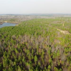 Photo of UNDER CONTRACT!  96 Acres of Recreational Land For Sale in Nottoway County VA!