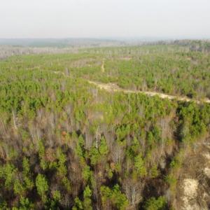 Photo of UNDER CONTRACT!  96 Acres of Recreational Land For Sale in Nottoway County VA!