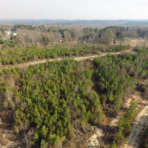 Photo of UNDER CONTRACT!  96 Acres of Recreational Land For Sale in Nottoway County VA!