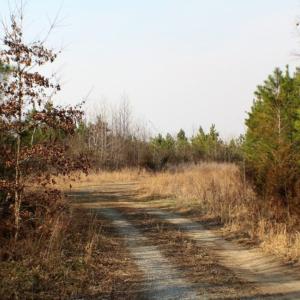 Photo of UNDER CONTRACT!  96 Acres of Recreational Land For Sale in Nottoway County VA!