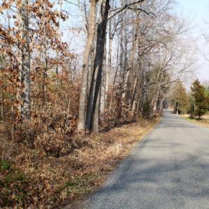 Photo of UNDER CONTRACT!  96 Acres of Recreational Land For Sale in Nottoway County VA!