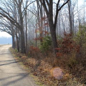 Photo of UNDER CONTRACT!  96 Acres of Recreational Land For Sale in Nottoway County VA!