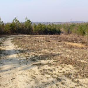 Photo of UNDER CONTRACT!  96 Acres of Recreational Land For Sale in Nottoway County VA!