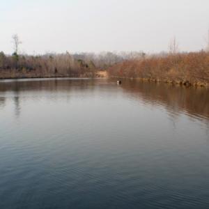 Photo of UNDER CONTRACT!  96 Acres of Recreational Land For Sale in Nottoway County VA!