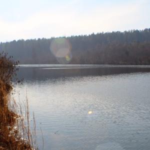 Photo of UNDER CONTRACT!  96 Acres of Recreational Land For Sale in Nottoway County VA!