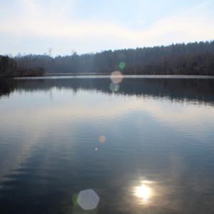 Photo of UNDER CONTRACT!  96 Acres of Recreational Land For Sale in Nottoway County VA!