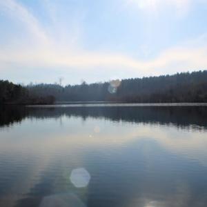 Photo of UNDER CONTRACT!  96 Acres of Recreational Land For Sale in Nottoway County VA!