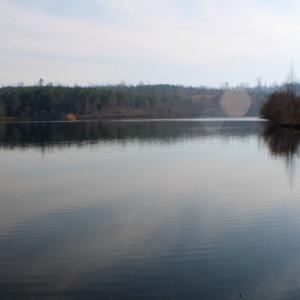 Photo of UNDER CONTRACT!  96 Acres of Recreational Land For Sale in Nottoway County VA!