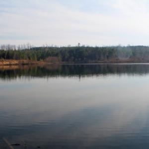 Photo of UNDER CONTRACT!  96 Acres of Recreational Land For Sale in Nottoway County VA!