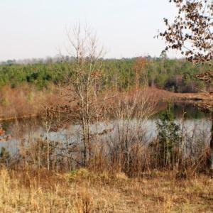 Photo of UNDER CONTRACT!  96 Acres of Recreational Land For Sale in Nottoway County VA!