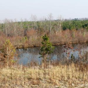 Photo of UNDER CONTRACT!  96 Acres of Recreational Land For Sale in Nottoway County VA!