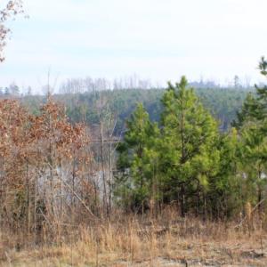 Photo of UNDER CONTRACT!  96 Acres of Recreational Land For Sale in Nottoway County VA!