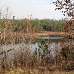Photo of UNDER CONTRACT!  96 Acres of Recreational Land For Sale in Nottoway County VA!
