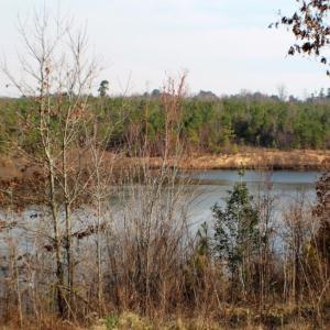 Photo of UNDER CONTRACT!  96 Acres of Recreational Land For Sale in Nottoway County VA!