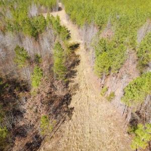 Photo of UNDER CONTRACT!  15 acres of Recreational Land or Sale in Charlotte County VA!