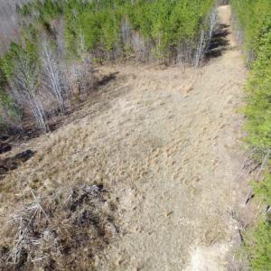 Photo of UNDER CONTRACT!  15 acres of Recreational Land or Sale in Charlotte County VA!
