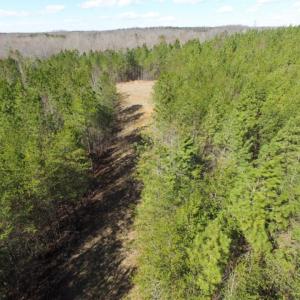 Photo of UNDER CONTRACT!  15 acres of Recreational Land or Sale in Charlotte County VA!