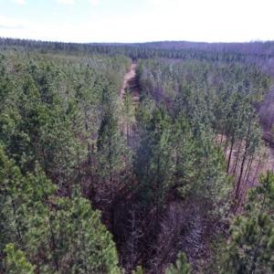 Photo of UNDER CONTRACT!  15 acres of Recreational Land or Sale in Charlotte County VA!