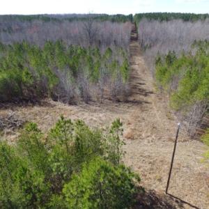 Photo of UNDER CONTRACT!  15 acres of Recreational Land or Sale in Charlotte County VA!