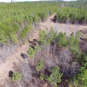 Photo of UNDER CONTRACT!  15 acres of Recreational Land or Sale in Charlotte County VA!