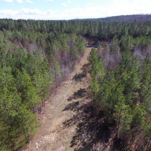 Photo of UNDER CONTRACT!  15 acres of Recreational Land or Sale in Charlotte County VA!
