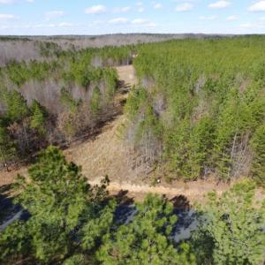 Photo of UNDER CONTRACT!  15 acres of Recreational Land or Sale in Charlotte County VA!
