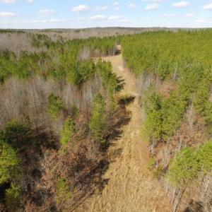 Photo of UNDER CONTRACT!  15 acres of Recreational Land or Sale in Charlotte County VA!
