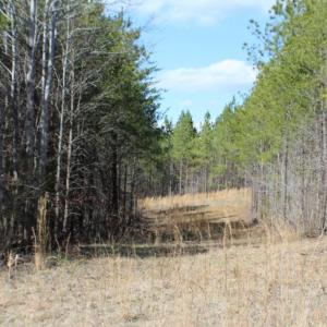 Photo of UNDER CONTRACT!  15 acres of Recreational Land or Sale in Charlotte County VA!