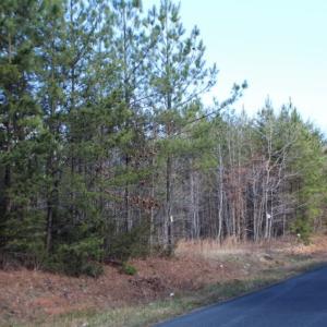 Photo of UNDER CONTRACT!  15 acres of Recreational Land or Sale in Charlotte County VA!